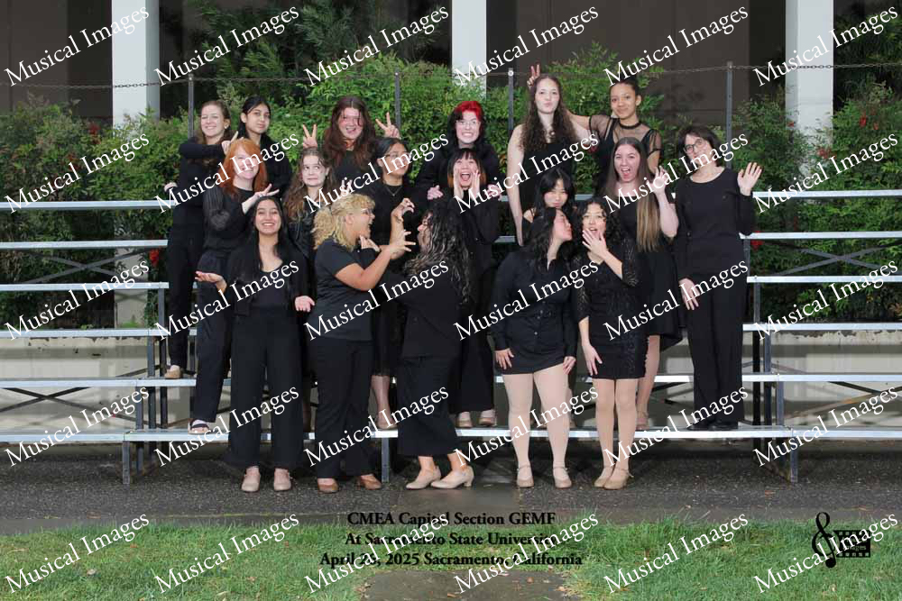 Musical Images
